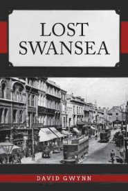 View Book Details* Lost Swansea by David Gwynn
